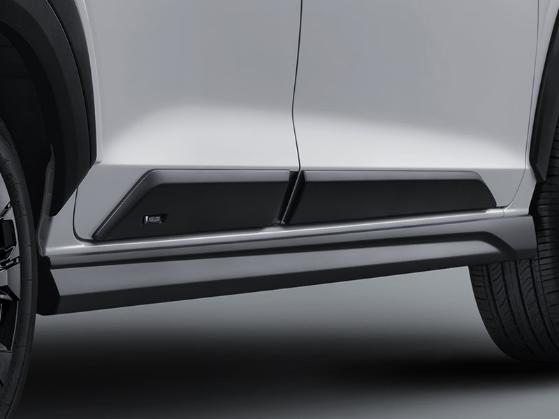 New Over Fender & Side Body Moulding