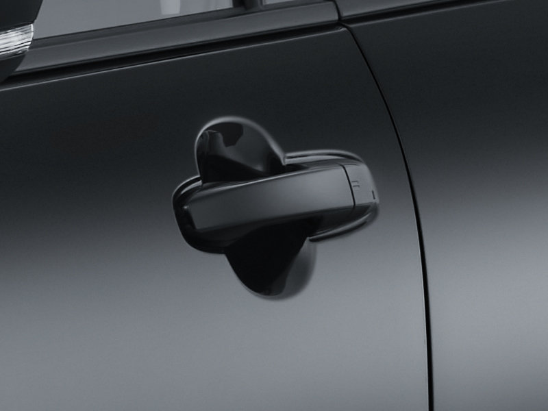 Body Color Door Outside Handle. (1.2 G Type)